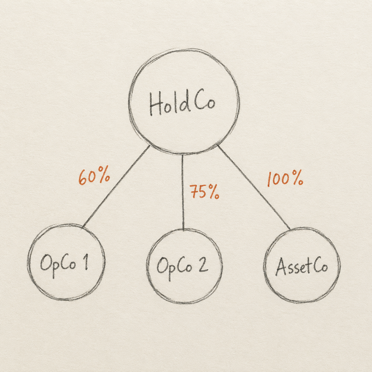 Скетч HoldCo / OpCo / AssetCo